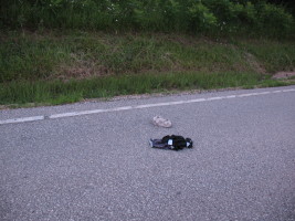 clothes in road