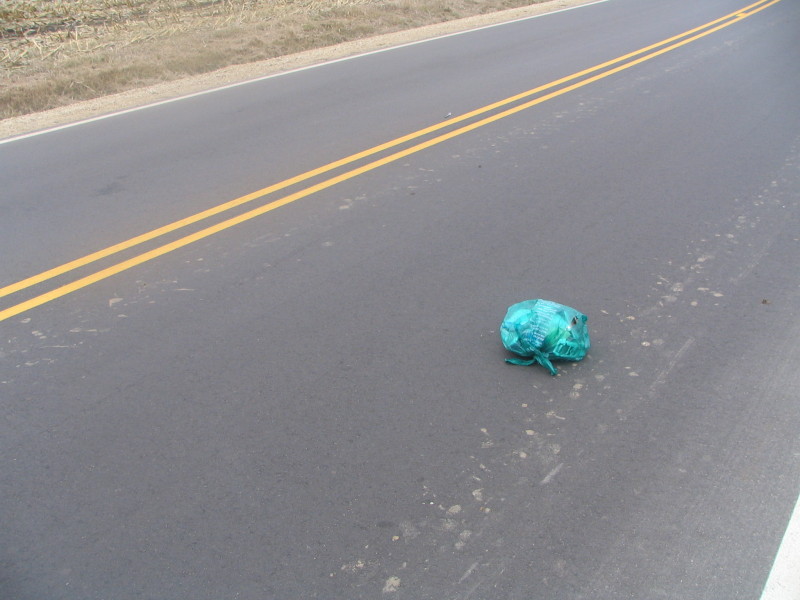 blue garbage in road