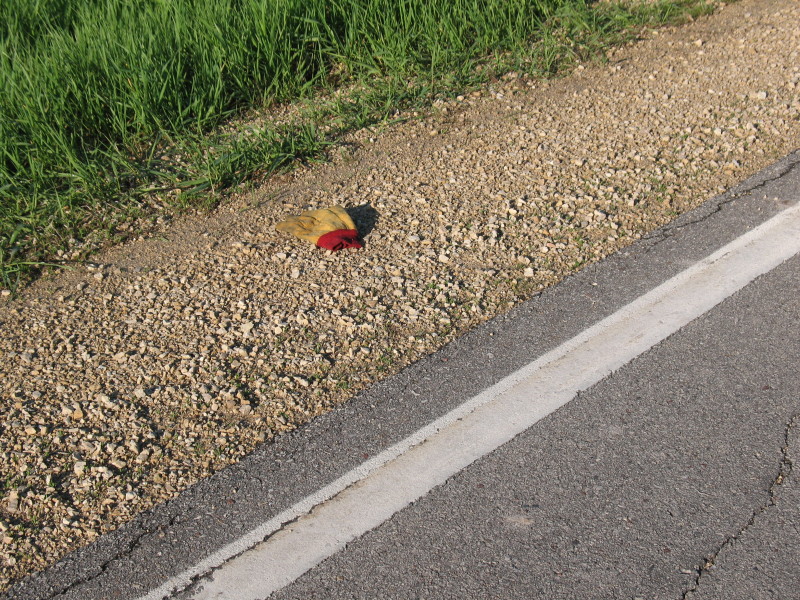 gloves in road gravel