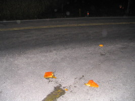 pumpkin on frozen road