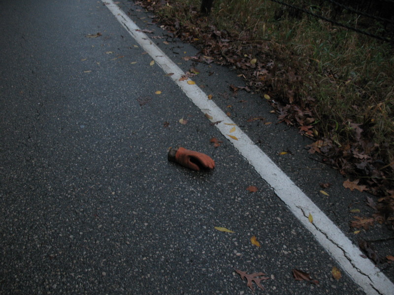 rubberized glove in road