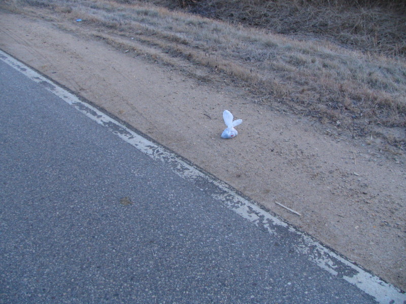 small bag in road