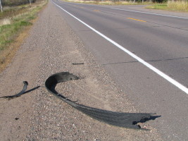 tire chunk in road