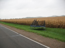 trampoline in road