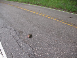 transformer in road