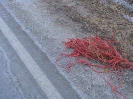 red twine in road