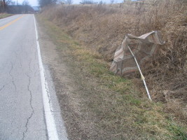 umbrella in road