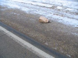 bottle in bag on road