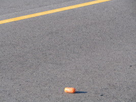 carrot in road