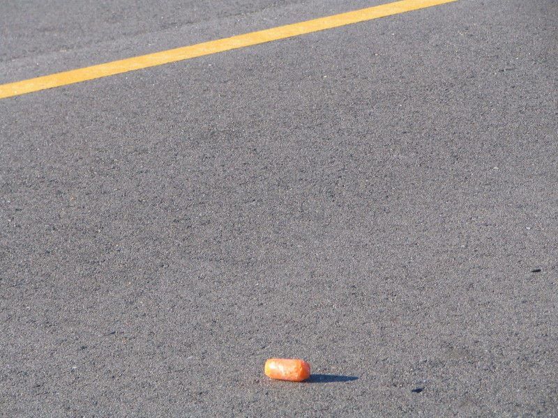 carrot in road