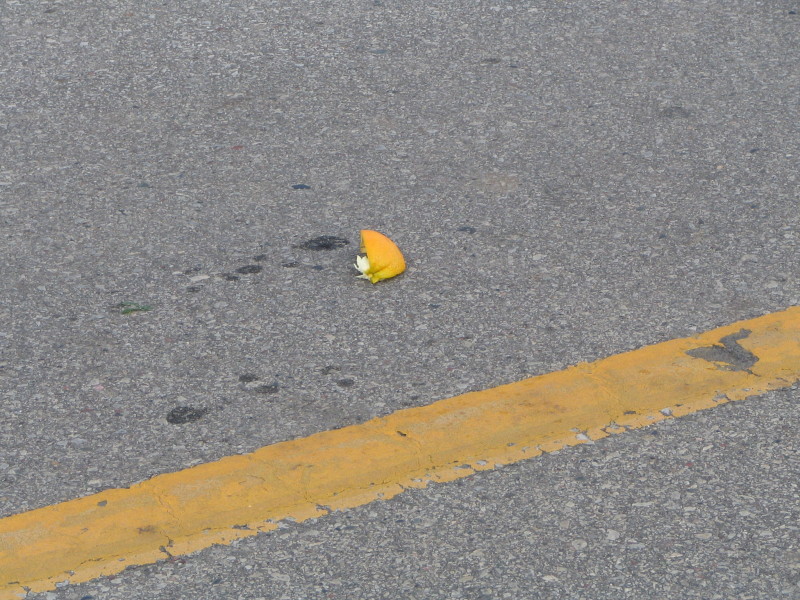 orange peel in road