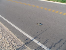 work glove in road with shadow