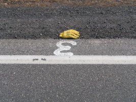 yellow glove in road